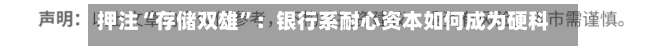 押注“存储双雄”：银行系耐心资本如何成为硬科技背后推手？-第3张图片