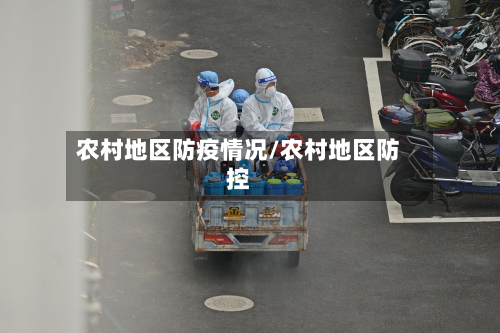 农村地区防疫情况/农村地区防控