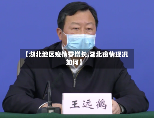 【湖北地区疫情零增长,湖北疫情现况如何】