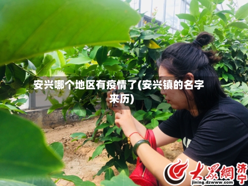 安兴哪个地区有疫情了(安兴镇的名字来历)