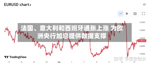 法国、意大利和西班牙通胀上涨 为欧洲央行加息提供数据支撑-第3张图片