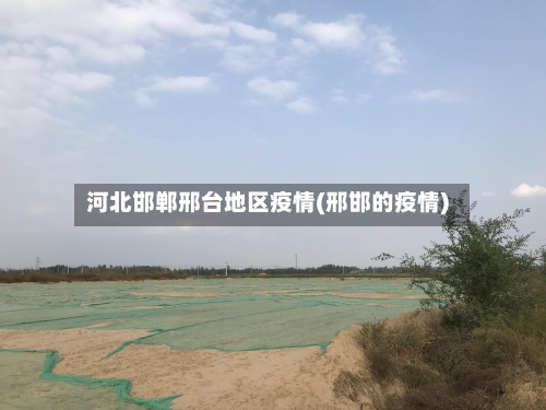 河北邯郸邢台地区疫情(邢邯的疫情)