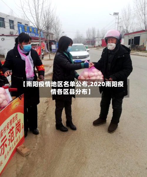 【南阳疫情地区名单公布,2020南阳疫情各区县分布】-第2张图片
