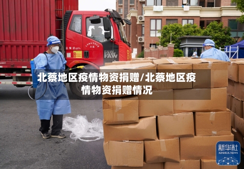 北蔡地区疫情物资捐赠/北蔡地区疫情物资捐赠情况