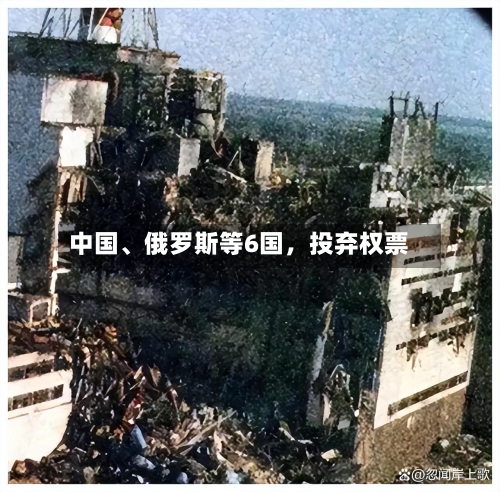 中国、俄罗斯等6国	，投弃权票-第3张图片