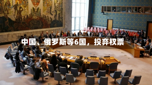 中国、俄罗斯等6国	，投弃权票-第2张图片