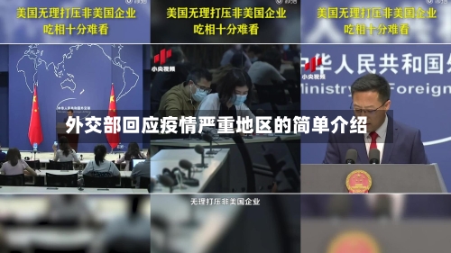 外交部回应疫情严重地区的简单介绍-第3张图片