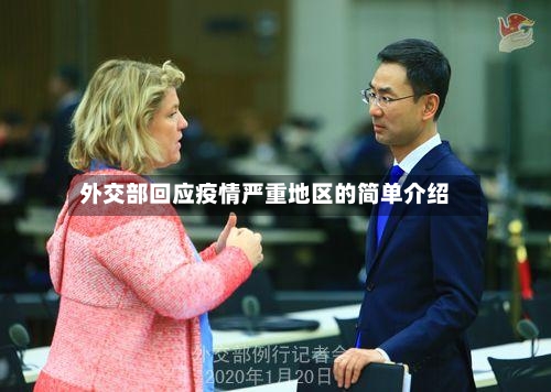 外交部回应疫情严重地区的简单介绍