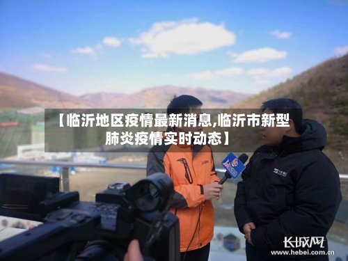 【临沂地区疫情最新消息,临沂市新型肺炎疫情实时动态】-第2张图片