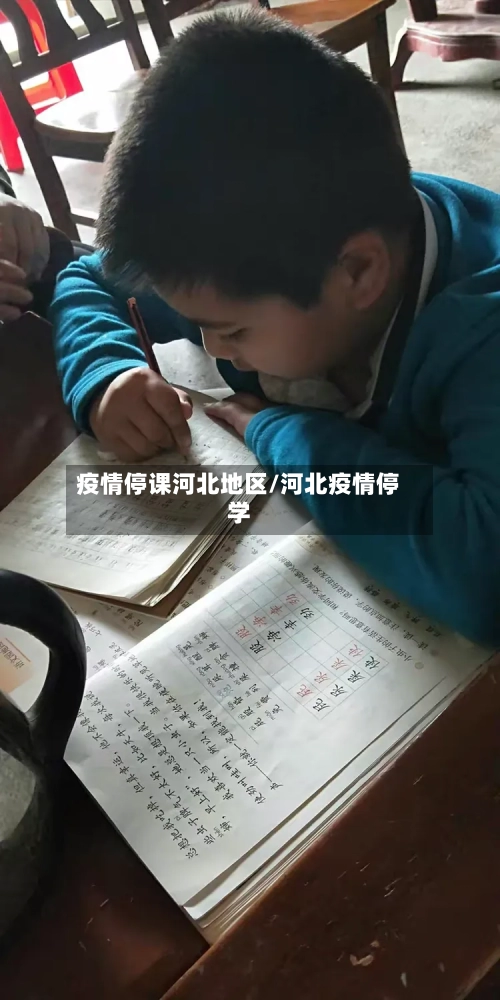 疫情停课河北地区/河北疫情停学-第2张图片