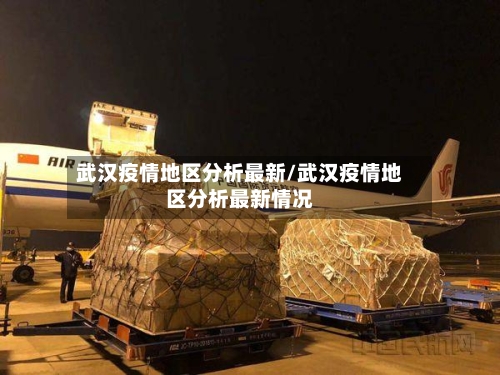 武汉疫情地区分析最新/武汉疫情地区分析最新情况-第2张图片