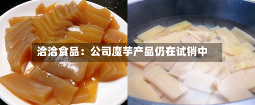 洽洽食品：公司魔芋产品仍在试销中-第3张图片