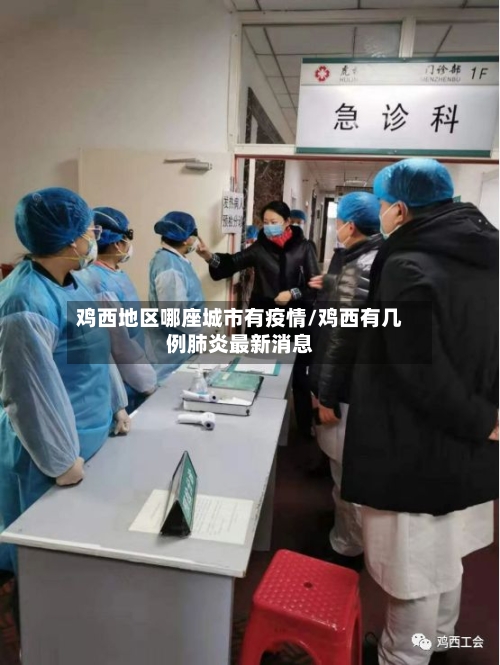 鸡西地区哪座城市有疫情/鸡西有几例肺炎最新消息-第2张图片