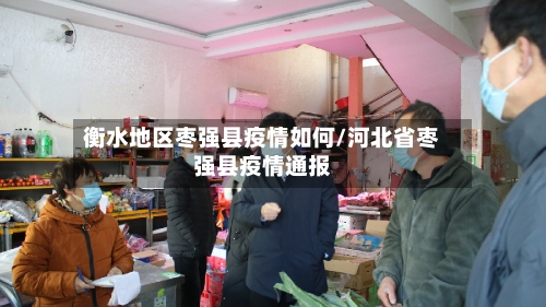 衡水地区枣强县疫情如何/河北省枣强县疫情通报-第2张图片
