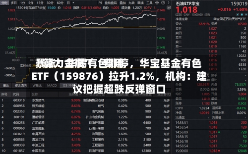 “算力金属	”，费用暴涨！华锡有色涨停，华宝基金有色ETF（159876）拉升1.2%	，机构：建议把握超跌反弹窗口-第2张图片