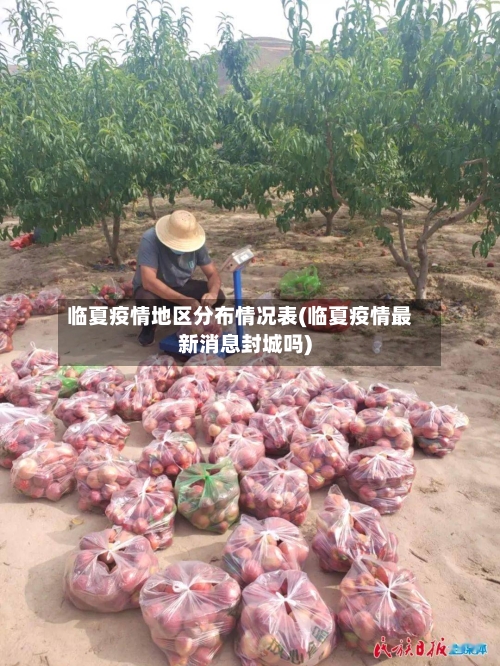临夏疫情地区分布情况表(临夏疫情最新消息封城吗)
