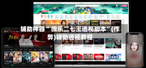 辅助神器“ 微乐二七王透视脚本”(作弊)辅助透视教程
