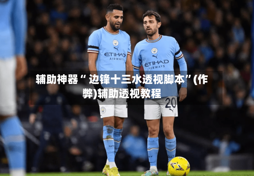 辅助神器“ 边锋十三水透视脚本”(作弊)辅助透视教程-第2张图片