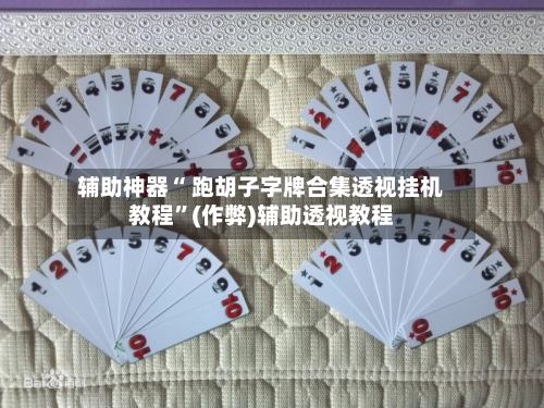 辅助神器“ 跑胡子字牌合集透视挂机教程”(作弊)辅助透视教程-第2张图片