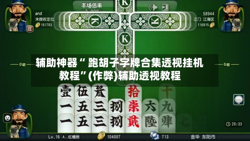 辅助神器“ 跑胡子字牌合集透视挂机教程	”(作弊)辅助透视教程-第3张图片