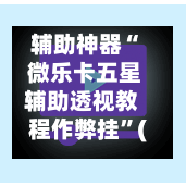 辅助神器“ 微乐卡五星辅助透视教程作弊挂”(作弊)辅助透视教程-第2张图片
