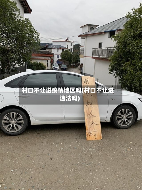 村口不让进疫情地区吗(村口不让进违法吗)-第3张图片