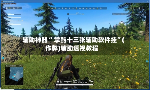 辅助神器“ 掌酷十三张辅助软件挂	”(作弊)辅助透视教程-第2张图片