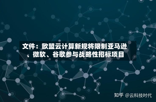 文件：欧盟云计算新规将限制亚马逊、微软	、谷歌参与战略性招标项目-第2张图片