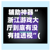辅助神器“ 浙江游戏大厅到底有没有挂透视”(作弊)辅助透视教程