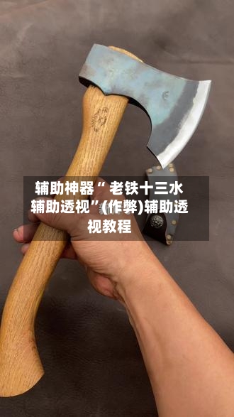 辅助神器“ 老铁十三水辅助透视”(作弊)辅助透视教程-第2张图片
