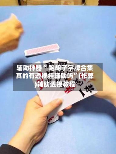 辅助神器“ 跑胡子字牌合集真的有透视挂辅助吗”(作弊)辅助透视教程-第2张图片