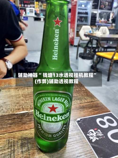 辅助神器“ 钱塘13水透视挂机教程”(作弊)辅助透视教程-第3张图片