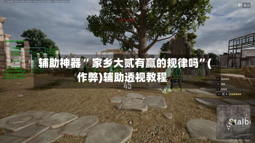 辅助神器“ 家乡大贰有赢的规律吗”(作弊)辅助透视教程-第2张图片