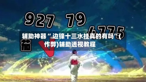 辅助神器“ 边锋十三水挂真的有吗”(作弊)辅助透视教程-第2张图片