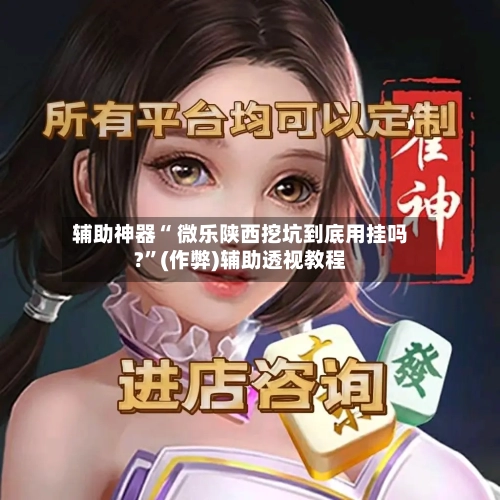 辅助神器“ 微乐陕西挖坑到底用挂吗?”(作弊)辅助透视教程