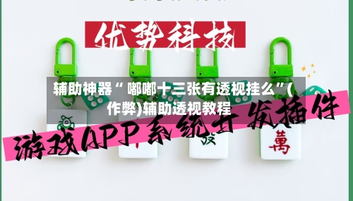 辅助神器“ 嘟嘟十三张有透视挂么”(作弊)辅助透视教程-第2张图片