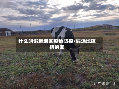 什么叫偏远地区疫情防控/偏远地区指的哪