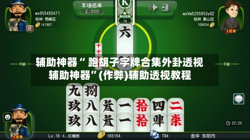 辅助神器“ 跑胡子字牌合集外卦透视辅助神器”(作弊)辅助透视教程-第3张图片