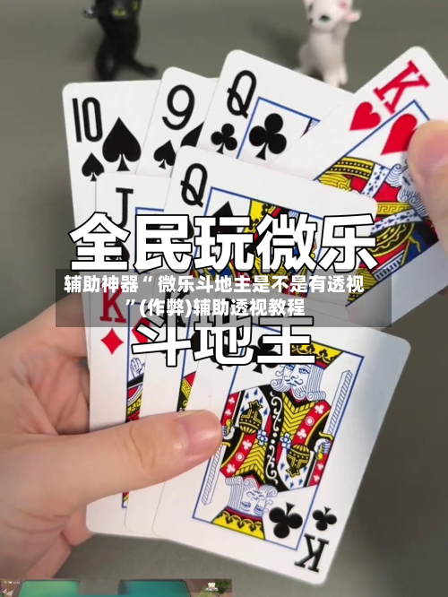 辅助神器“ 微乐斗地主是不是有透视	”(作弊)辅助透视教程-第3张图片