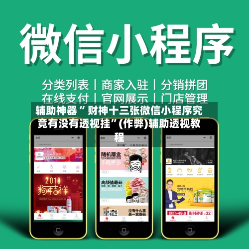 辅助神器“ 财神十三张微信小程序究竟有没有透视挂”(作弊)辅助透视教程-第2张图片