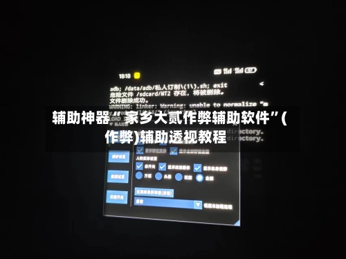辅助神器“ 家乡大贰作弊辅助软件”(作弊)辅助透视教程-第3张图片