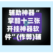 辅助神器“ 掌酷十三张开挂神器软件	”(作弊)辅助透视教程-第2张图片