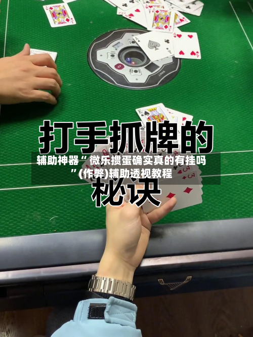 辅助神器“ 微乐掼蛋确实真的有挂吗”(作弊)辅助透视教程-第2张图片