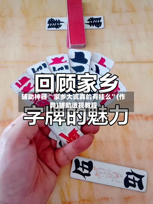 辅助神器“ 家乡大贰真的有挂么”(作弊)辅助透视教程-第2张图片