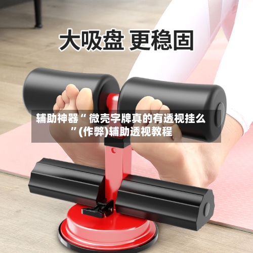 辅助神器“ 微壳字牌真的有透视挂么”(作弊)辅助透视教程-第3张图片