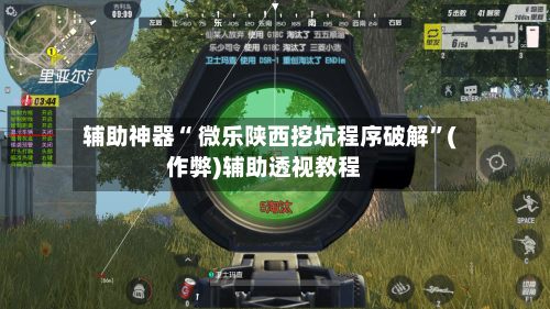辅助神器“ 微乐陕西挖坑程序破解”(作弊)辅助透视教程-第3张图片