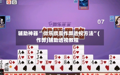 辅助神器“ 微乐掼蛋作弊透视方法”(作弊)辅助透视教程-第3张图片