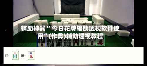 辅助神器“ 今日花牌辅助透视软件使用”(作弊)辅助透视教程