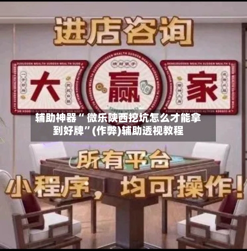 辅助神器“ 微乐陕西挖坑怎么才能拿到好牌”(作弊)辅助透视教程-第2张图片