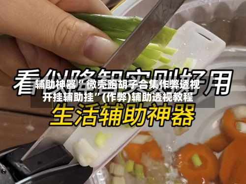 辅助神器“ 微壳跑胡子合集作弊透视开挂辅助挂”(作弊)辅助透视教程-第2张图片